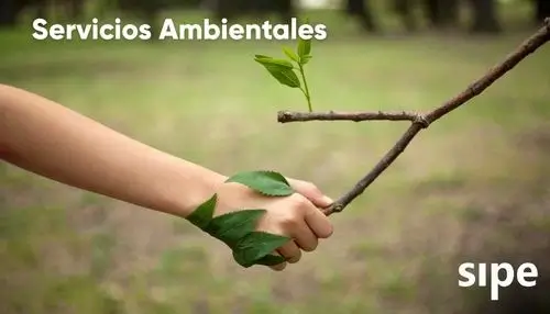 Servicios Ambientales SIPE Consultora